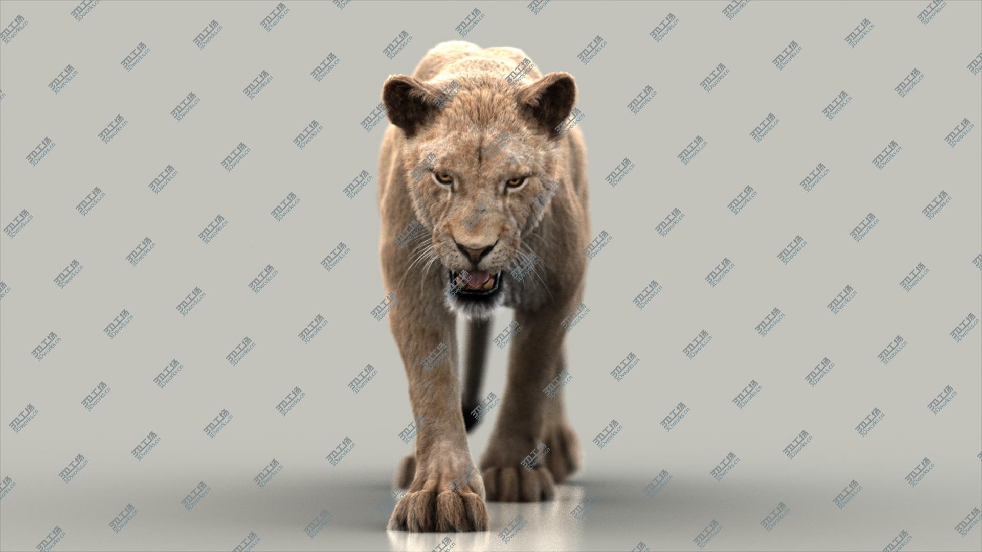 images/goods_img/202104021/3D model Lioness (3) (FUR) (RIGGED)/5.jpg